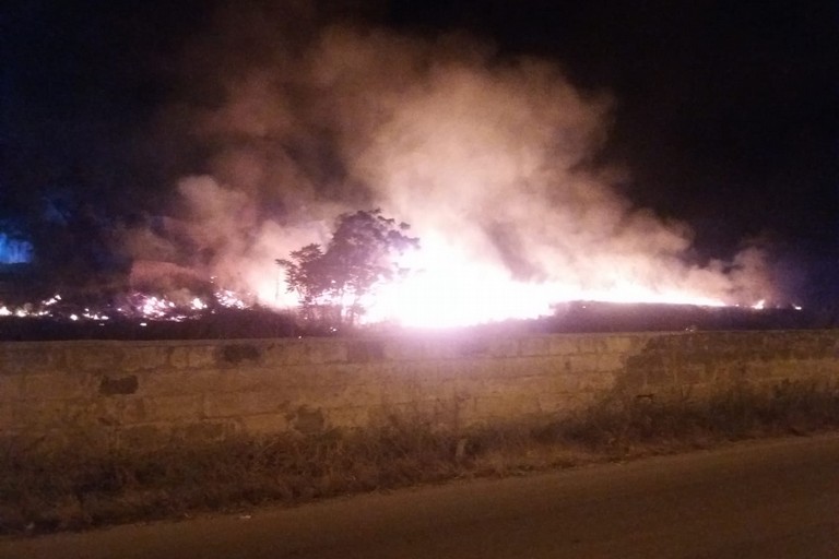 Vasto incendio di sterpaglia