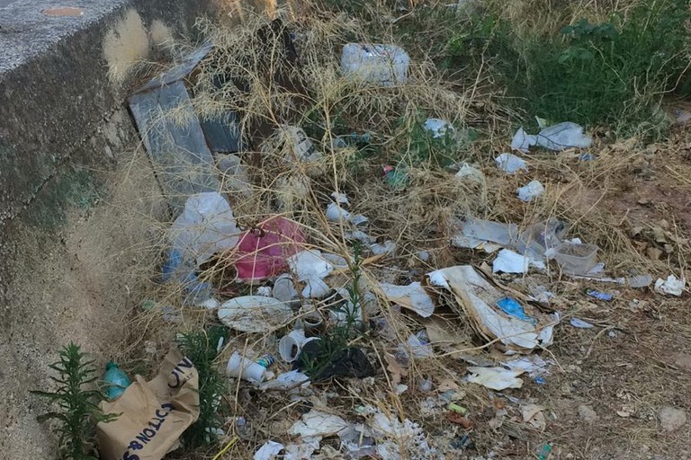 degrado ed abbandono per la pineta della villa comunale