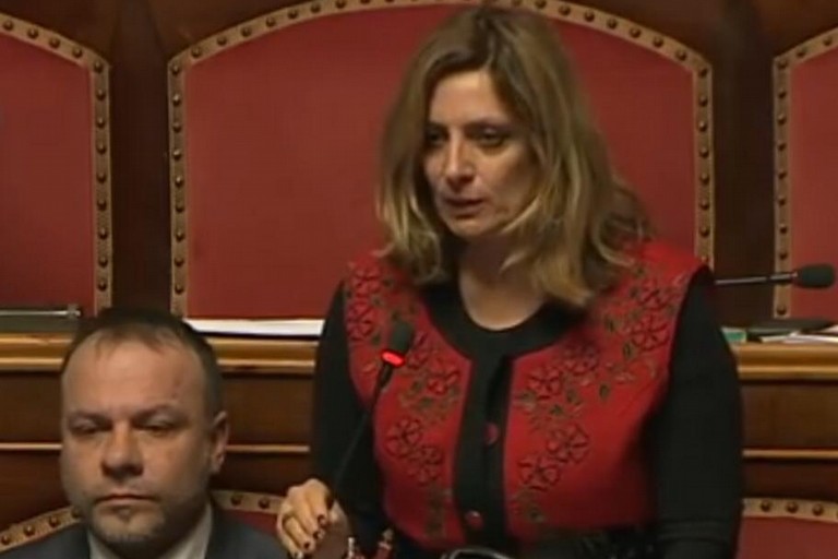 Sen. Angela Bruna Piarulli