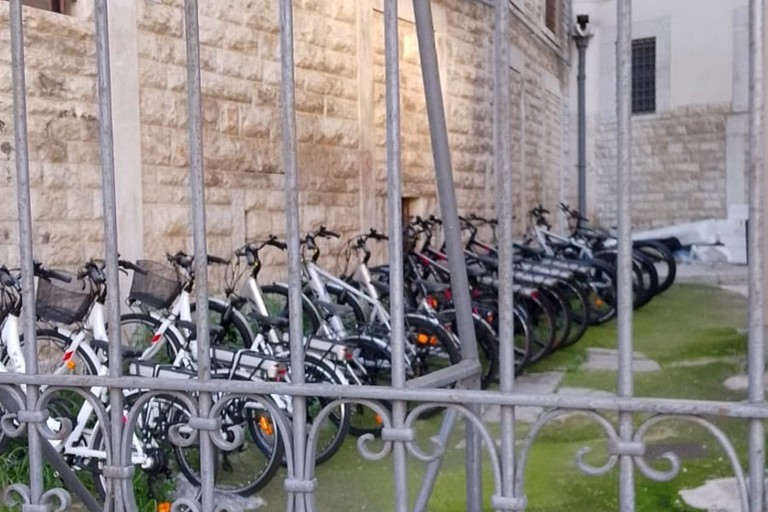 Bici a pedalata assistita