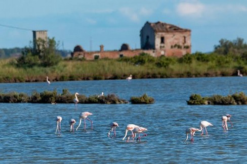 Adria ed il Parco regionale veneto del Delta del Po
