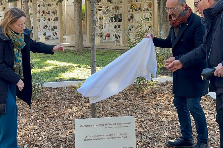 L'Albero della Memoria al cimitero di Andria. <span>Foto Rossella Spada</span>