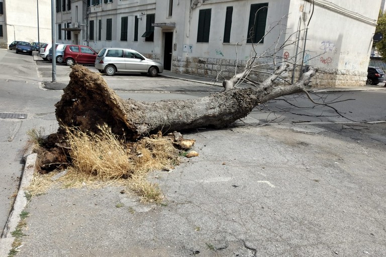 Cade grosso alianto in via Achille Grandi: sfiorata tragedia