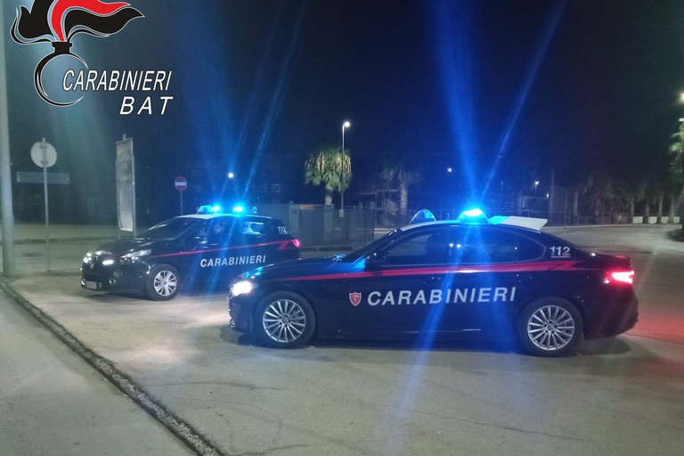 controlli dei carabinieri