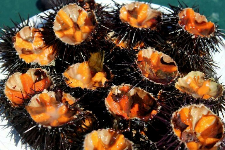 ricci di mare