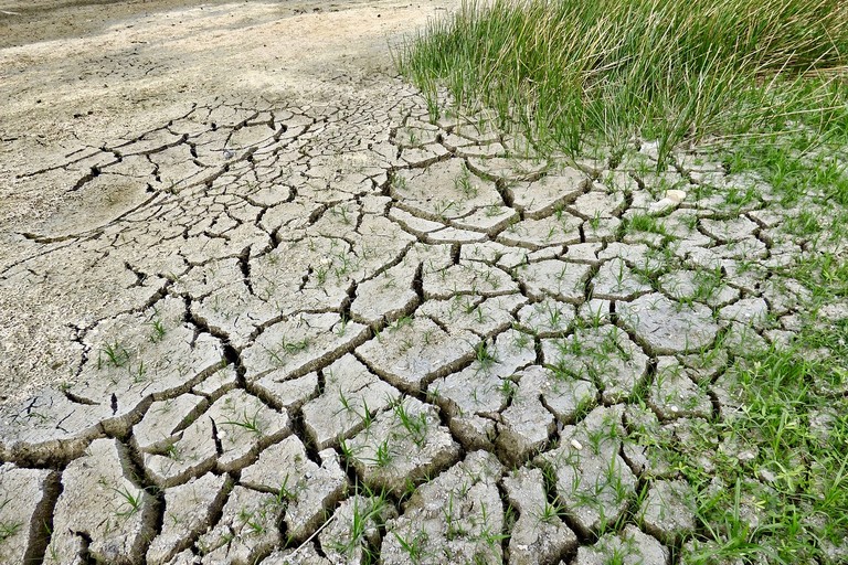 agricoltura