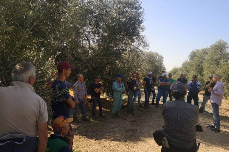 Assemblea nelle campagne di Andria