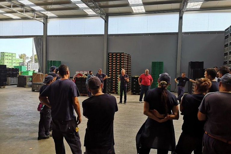 assemblea mercatale