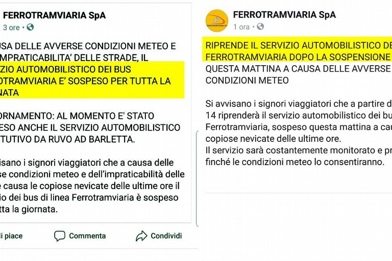 il post della consigliera regionale pentastellata Grazia Di Bari