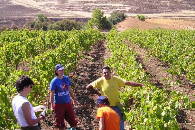 giovani in agricoltura