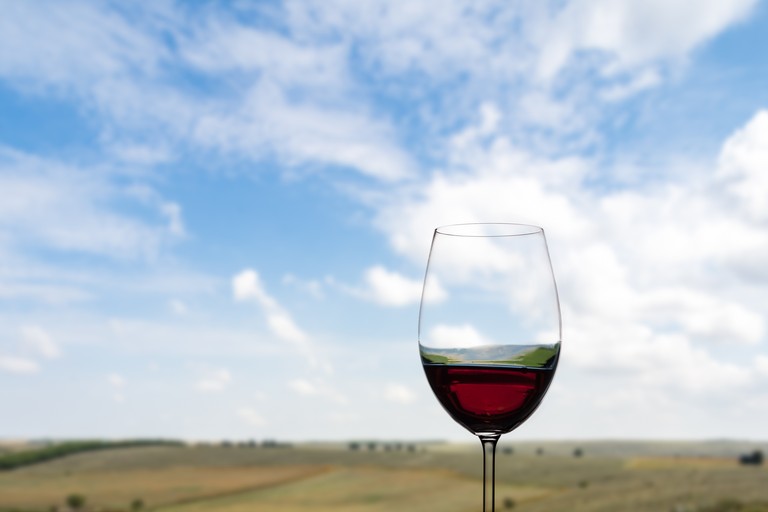 vino e paesaggio