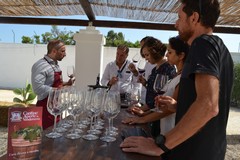 Ottimo riscontro di pubblico con l'evento "Cantine aperte in vendemmia"