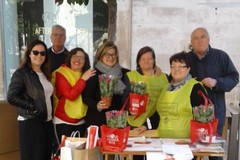 "Le rose di Santa Rita": grande partecipazione anche ad Andria, raccolti 1.400 euro