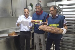 Pane di Altamura falso, sventata truffa in Puglia, Molise, Campania e Calabria