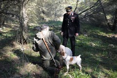 Alta Murgia, raccoglieva tartufi con falso tesserino
