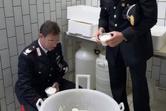 Etichettatura dei prodotti lattiero-caserari, il bilancio dell'operazione “Our milk?”