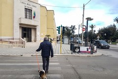 Rischio per i pedoni ai semafori cittadini?