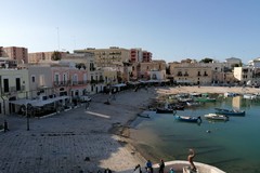 Sabato "Dionisie urbane": tra i finalisti la Compagnia "Hurricane" dell'andriese Vincenzo Tondolo