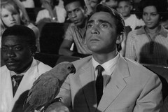 Walter Chiari, l’omaggio di Andria a cento anni dalla nascita