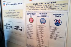 Revisione dinamica delle liste elettorali