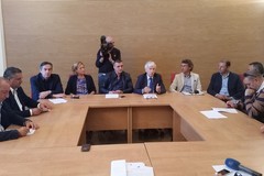​Conservatori e riformisti, un odg per l'olio extravergine