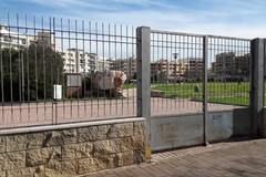Ad Andria la giornata nazionale degli alberi con il progetto “Un albero per il futuro”