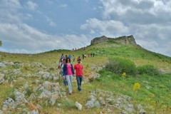 Il Comitato "Via Francigena del sud Corato-Andria" protagonista di Linea Verde