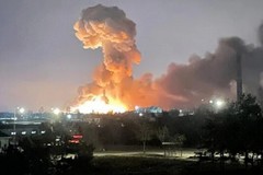 Guerra in Ucraina: 20 famiglie in fuga dal conflitto pronte ad essere accolte in Puglia dalle associazioni degli olivicoltori