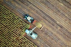 Caro carburanti, Coldiretti Puglia: "Bene gli interventi del governo a sostegno di agricoltura e pesca"