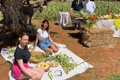 Tutto esaurito in agriturismo per la Pasquetta 2025, con passeggiate in uliveti e boschi didattici