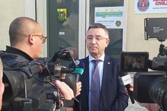 Miscioscia: “L’olio EVO coratina penalizzato  dalla deroga dell’abbassamento dei limiti degli steroli totali"