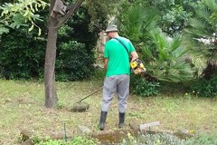 Lotta per la difesa dell'ambiente ad Andria: Giardino Mediterraneo invaso dai rifiuti