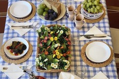 Buon ferragosto dal Sindaco di Andria, Giovanna Bruno