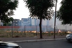 Incendio di sterpaglie nei pressi di via Vecchia Barletta: intervento dei Vigili del Fuoco
