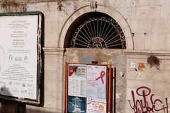 Nuovi avvistamenti di topi tra pendio S. Lorenzo, via Marco Polo e zona Camaggio