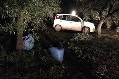 Criminalità nella Bat: "Prioritaria la collaborazione con i Consorzi di Vigilanza Campestre"
