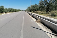 Provincia: previsti oltre due milioni di euro per la Bisceglie-Andria e la Bisceglie-Corato