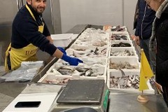 Torna l'ora solare? Ecco il menù salva sonno a base di pesce azzurro per combattere l'insonnia