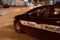 Ad Andria controlli congiunti della Polizia Locale e del Servizio Igiene degli Alimenti della Asl