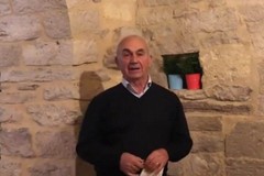 L’ulivo, la luce, la Pasqua