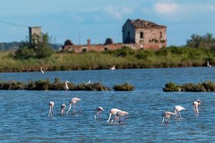 Andria Adria: un gemellaggio turistico-culturale e per promuovere le eccellenze enogastronomiche