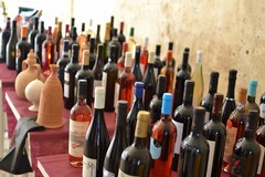 Vino, Puglia pilastro nazionale con il 65,5% a IGP e primato nei mosti