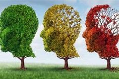 Malattie rare: due convegni organizzati dall'AIMNR e la FIDAPA di Andria