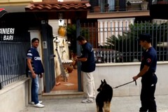 Confiscati beni per un milione di euro ad un 48enne andriese