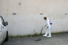 Nugoli di moscerini in città: il Comune anticipa i trattamenti disinfestanti