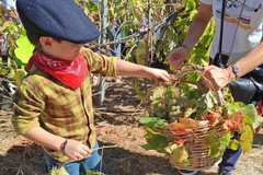 L’Istituto "Jannuzzi - Di Donna" di Andria trasforma il giardino della scuola in una festa d’autunno