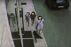 Deiezioni canine: altri 16 "sporcaccioni" beccati dalla Polizia locale