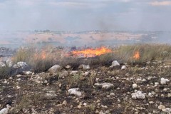 Roghi in città ed inquinamento ambientale, è ora di fermare questa vergogna