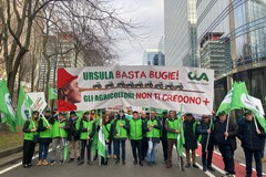 Gli agricoltori protestano a Bruxelles: "Siamo bandiera dell'agricoltura"