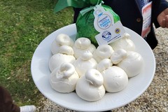 Dalla Burrata di Andria alla Zampina: il Sud rafforza il primato italiano delle IG